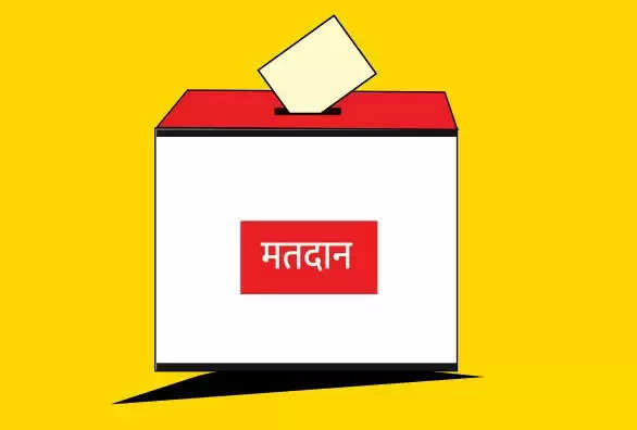 REWA:अंतिम चरण का पंचायत चुनाव सम्पन्न,त्योंथर में फर्जी मतदान से मतदाता हुए परेशान,3 कर्मचारियों को किया गया निलंबित