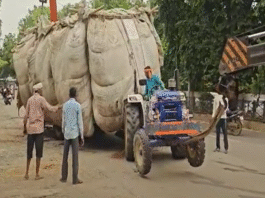 ग्वालियर में ओवरलोड ट्रैक्टर सड़क में धंसा, भारी बोरे से लदा वाहन क्रेन की मदद से निकाला गया।